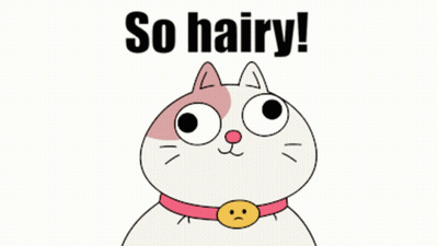 Cartoon Cat With So Hairy