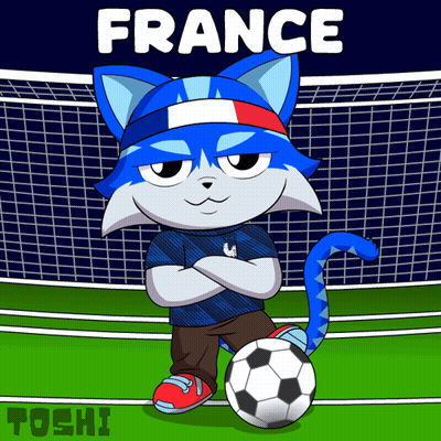 Cartoon Cat With Soccer Ball And France GIF