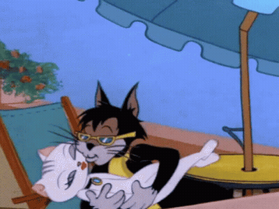 Cartoon Cat With Sunglasses Holding White Cat GIF