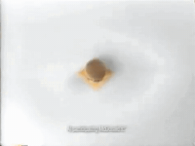 Cartoon Character Close Up With Big Smile GIF