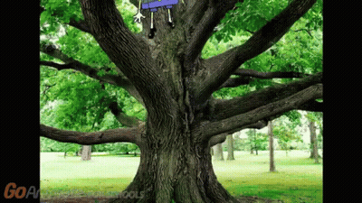 Cartoon Character Hanging From Tree GoAnimate For Schools GIF