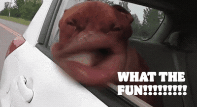 Cartoon Character Hey Wait Minute What The Hell GIF