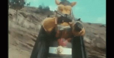 Cartoon Character Holding Gun GIF