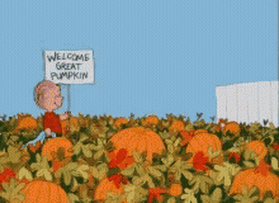 Cartoon Character Holding Welcome Great Pumpkin Sign In Pumpkin Field GIF