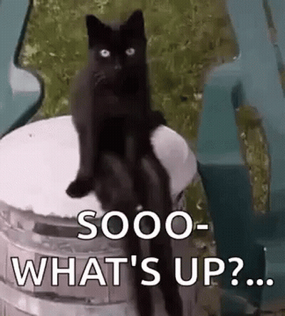 Cartoon Character In King's Robe And Crown GIF