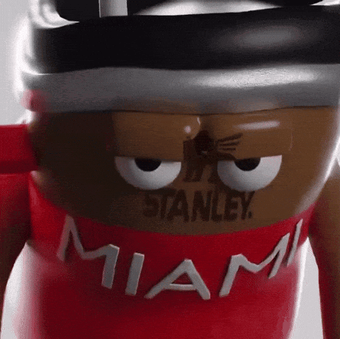 Cartoon Character In Red Shirt With Miami GIF