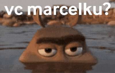 Cartoon Character In Water Saying Vc Marcelku GIF