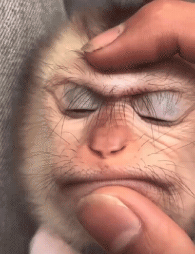 Cartoon Character Making Funny Face GIF