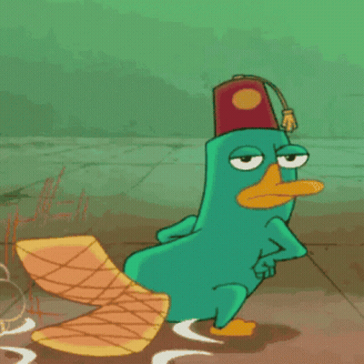 Cartoon Character Saying Hey Where's Perry GIF