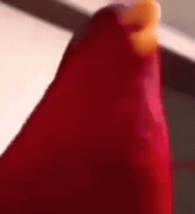 Cartoon Character Saying The Cold Never Bothered Me Anyway GIF