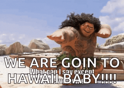 Cartoon Character Saying We Are Going To Hawaii GIF