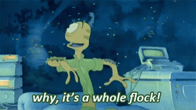 Cartoon Character Saying Why It's A Whole Flock GIF