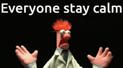 Cartoon Character Says Everyone Stay Calm GIF