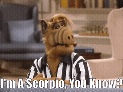 Cartoon Character Says I'm A Scorpio You Know GIF