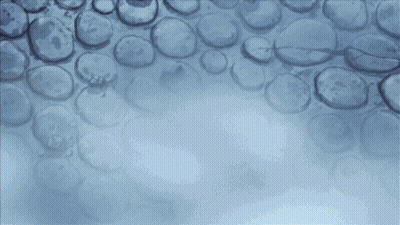 Cartoon Character Standing Next To Safe GIF