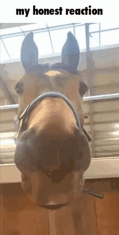 Cartoon Character Wearing Mask In Front Of Door GIF
