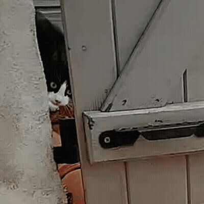 Cartoon Character With Big Head And Mustache GIF