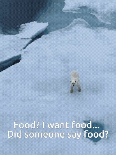 Cartoon Character With Perfection Text GIF