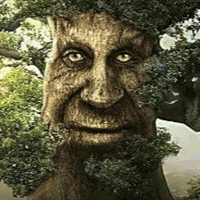 Cartoon Characters Next To Open Book GIF