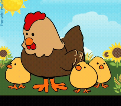 Cartoon Chicken And Three Chicks With Framwhiteside GIF