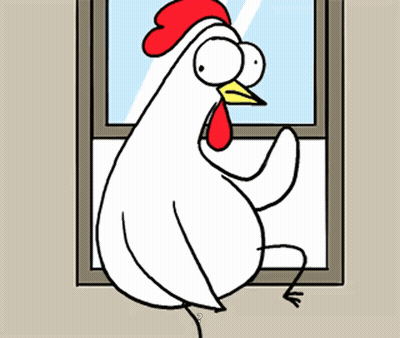 Cartoon Chicken Looking Out Window GIF