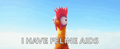Cartoon Chicken Mask I Have Feline Aids GIF