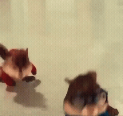 Cartoon Chipmunk Walking In Blue Sweater And Glasses GIF