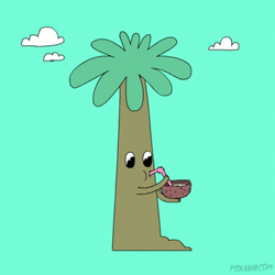 Cartoon Coconut Tree GIF