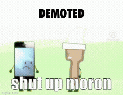Cartoon Coin Smiling Says Demoted Shut Up Moron GIF