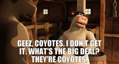Cartoon Cow Says Geez Coyotes What's The Big Deal GIF