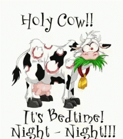 Cartoon Cow With Bell Saying Holy Cow It's Bedtime Night Night GIF