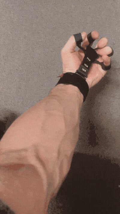 Cartoon Cow With Bell GIF