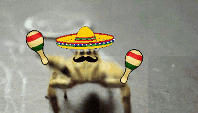 Cartoon Crab Wearing Sombrero Holding Maracas GIF