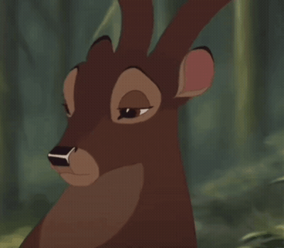 Cartoon Deer Face In Forest GIF