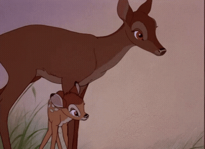Cartoon Deer Standing Beside Chipmunk GIF