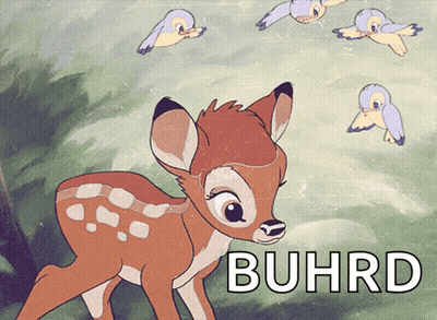 Cartoon Deer With Word Buhrd GIF