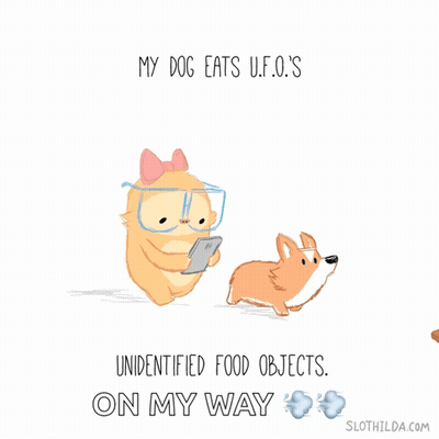 Cartoon Dog And Cat My Dog Eats U.F.O.'s GIF