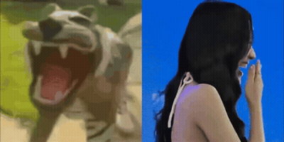 Cartoon Dog And Woman Laughing GIF