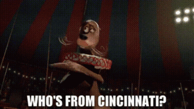 Cartoon Dog Flying With Who's From Cincinnati GIF