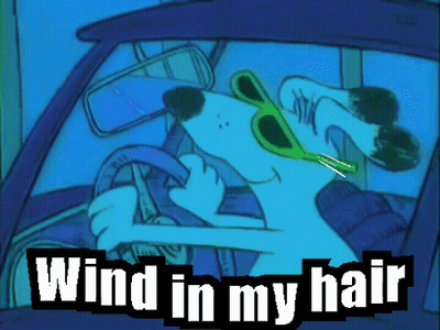 Cartoon Dog In Sunglasses Driving Saying Wind In My Hair GIF