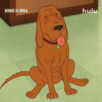 Cartoon Dog King Of The Hill GIF