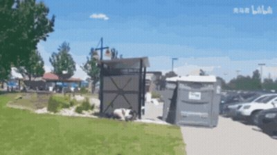 Cartoon Dog Laying On Grass In Front Of Bilibili Building GIF