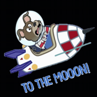 Cartoon Dog Riding Rocket To The Moon GIF