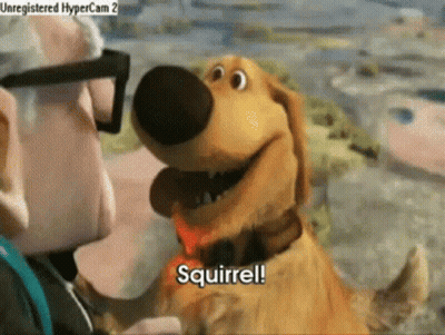 Cartoon Dog Saying Squirrel GIF