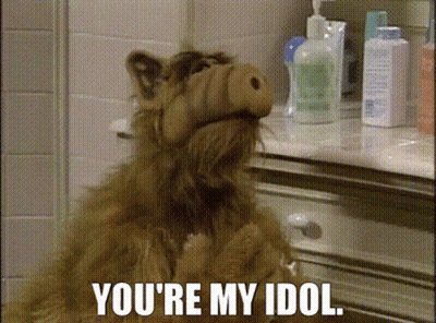 Cartoon Dog Saying You're My Idol In Front Of Mirror GIF