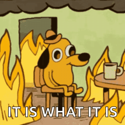 Cartoon Dog Sitting By Fire It Is What It Is GIF