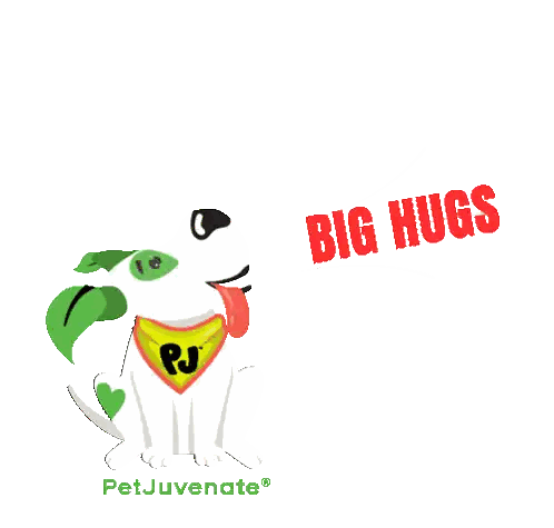 Cartoon Dog Wearing Pj Bandana Sticker
