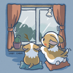 Cartoon Dog Welsh Corgi Dogs Watching Rainfall GIF