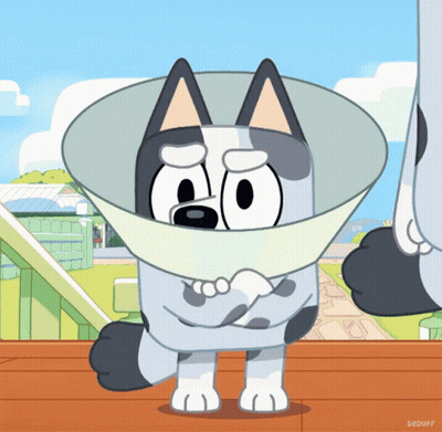 Cartoon Dog With Cone GIF