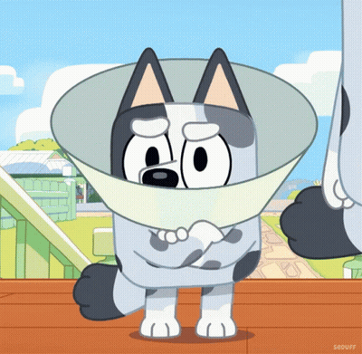 Cartoon Dog With Cone On Wooden Deck GIF